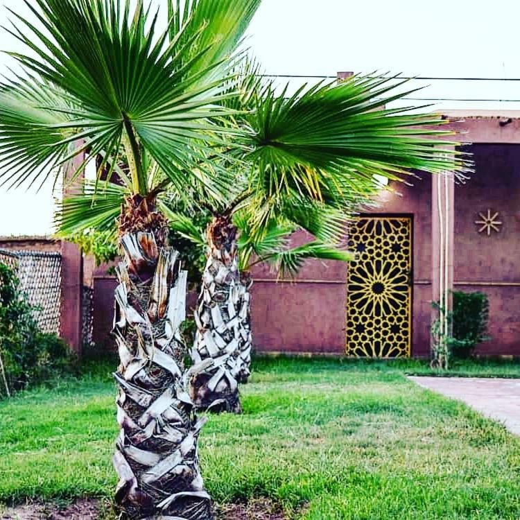 Riad Darga Rouge Ouled Bouzid Экстерьер фото
